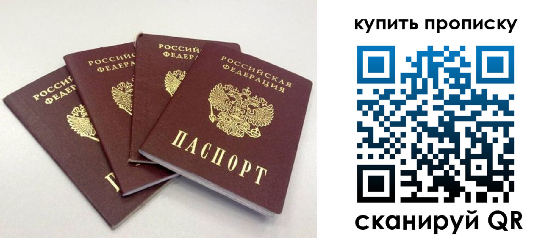 форма 3 в Камчатской области